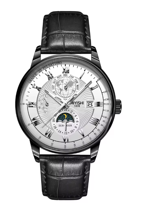 Terra Lux Watch for Men