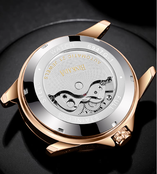 Stellar Crown - ZaneLuxe Luxury Men's Automatic Watch Gold & Silver